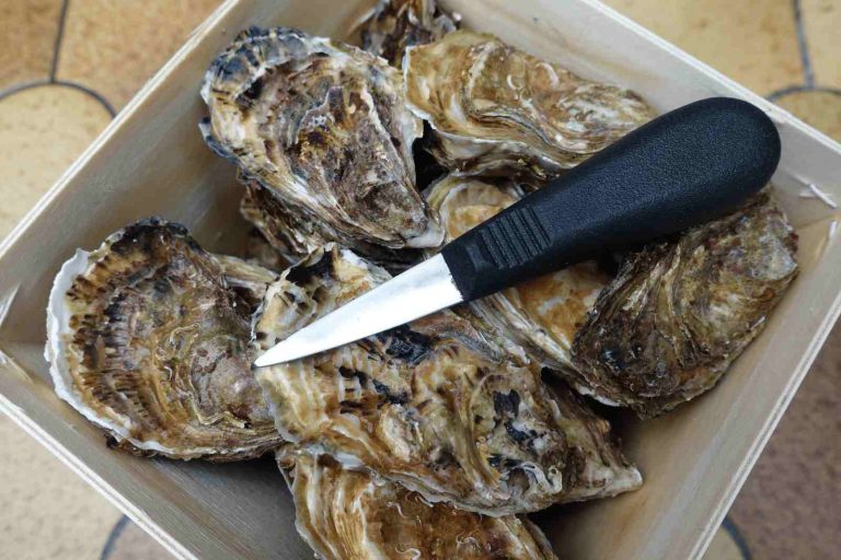 bourriche d'huitres