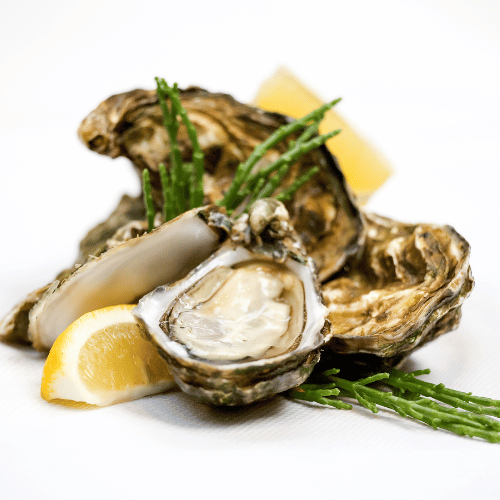 huîtres fine de clair de charente maritime