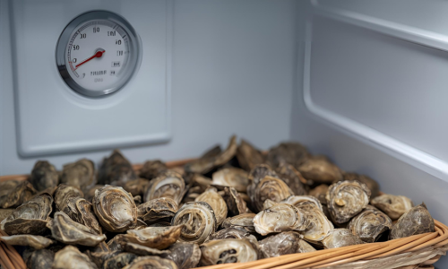 huitres rangées au frais dans un frigo