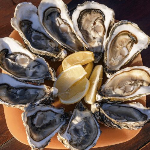 Cabane à huitre sur l'ile de ré