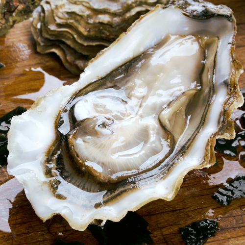 huître pied de cheval