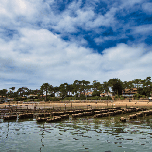 parc à huitres au bassin d'arcachon
