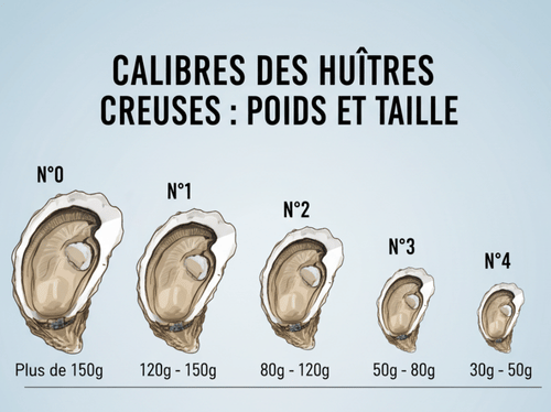 poids des huitres par calibre