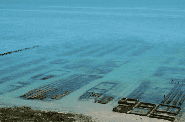 Parc à huitres bassin Arcachon