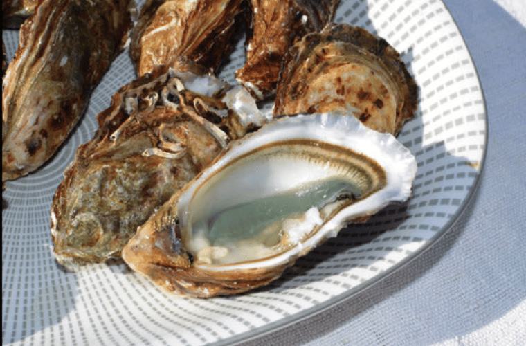 huitre verte Marenne Oleron-compressed