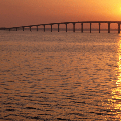 ostréiculteurs ile de ré