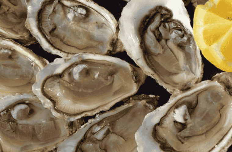 plateaux huitres ile de ré