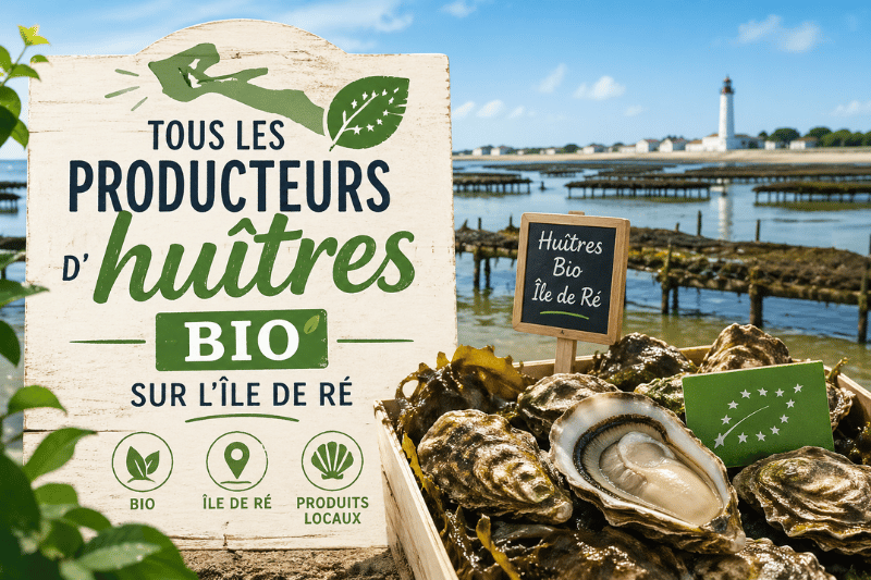 Huitres bio de l'île de ré