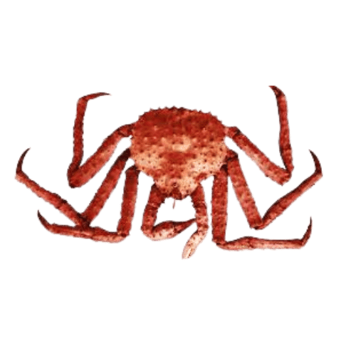 crabe royal