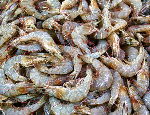 crevettes
