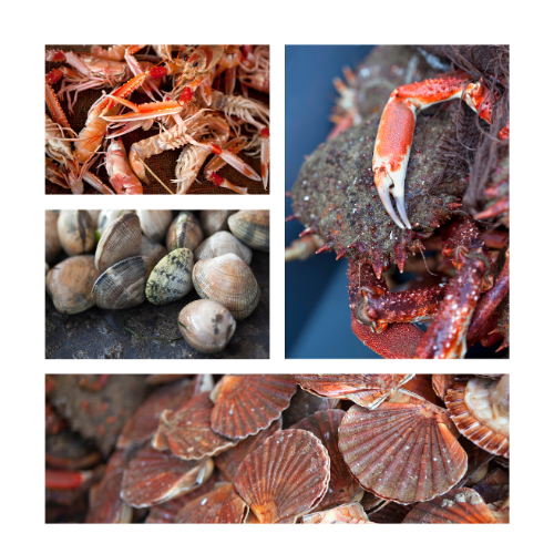 liste des crustacés