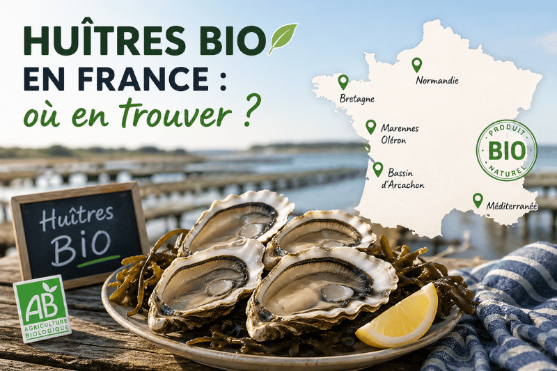ou trouver des huitres Bio en France